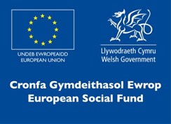 Eurpoean Union Social fund (Wales) logo